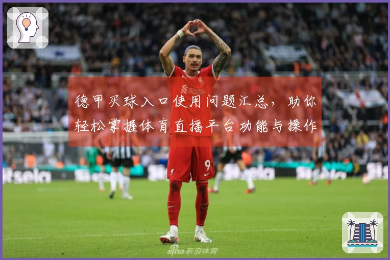 德甲买球入口使用问题汇总，助你轻松掌握体育直播平台功能与操作技巧